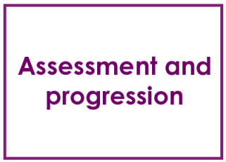 assessment and progression